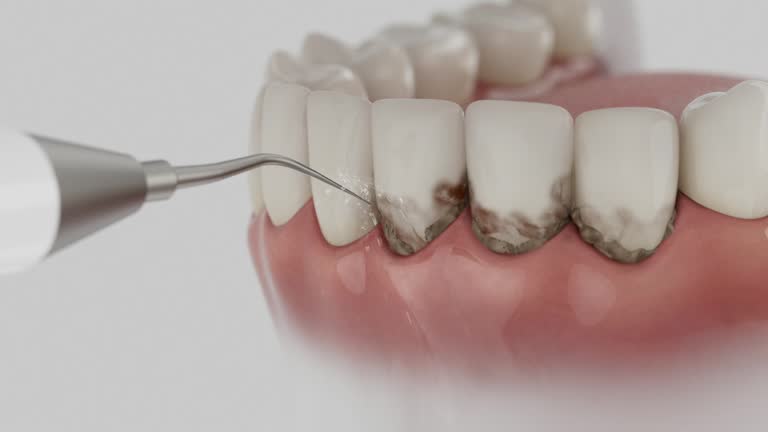 Reliable Dental contractor in Bernie, MO by Dentist Open Now